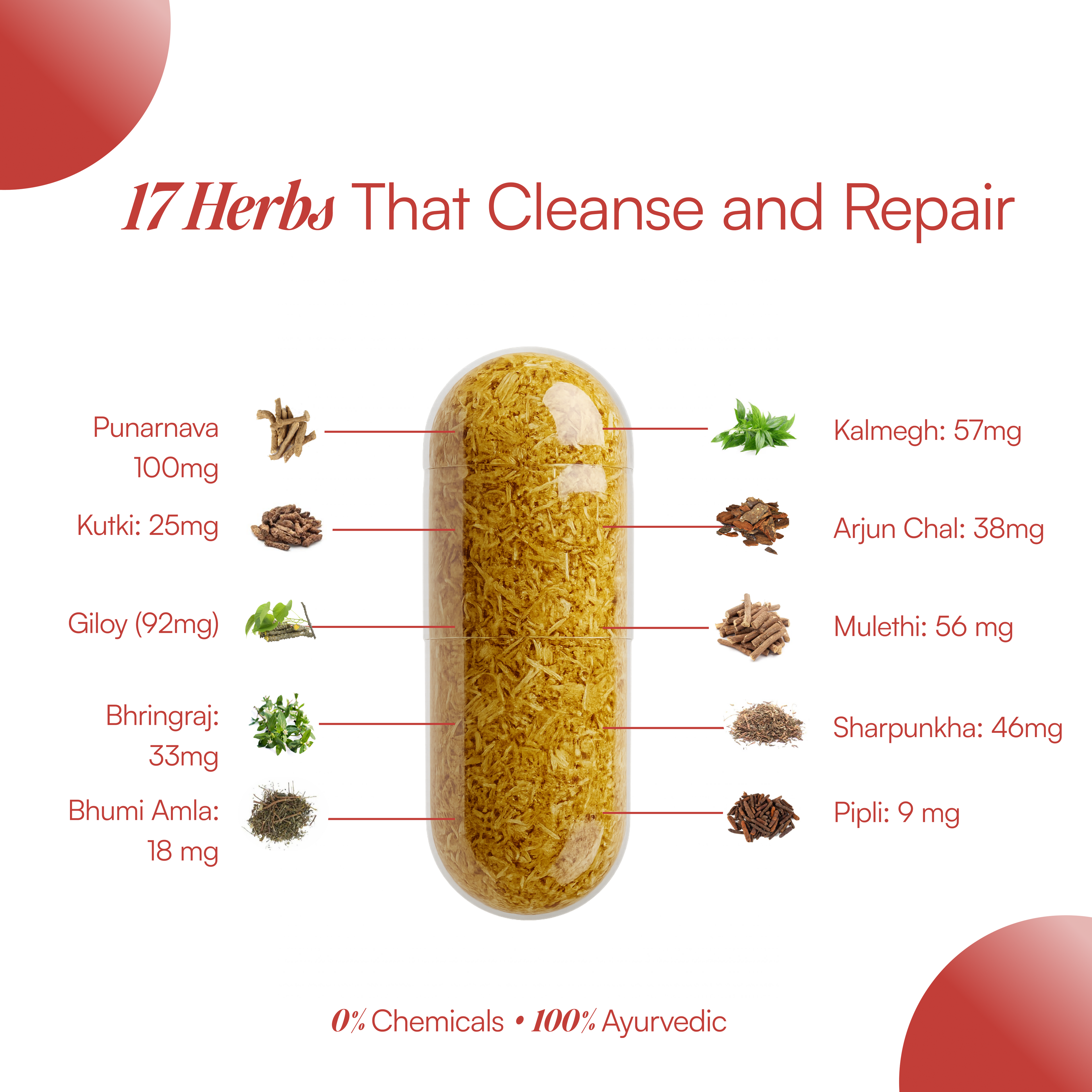 OrganicSupp Ayurvedic Liver Detox Capsules - Natural Liver Cleanse & Metabolism Support with Amla, Giloy & Haldi